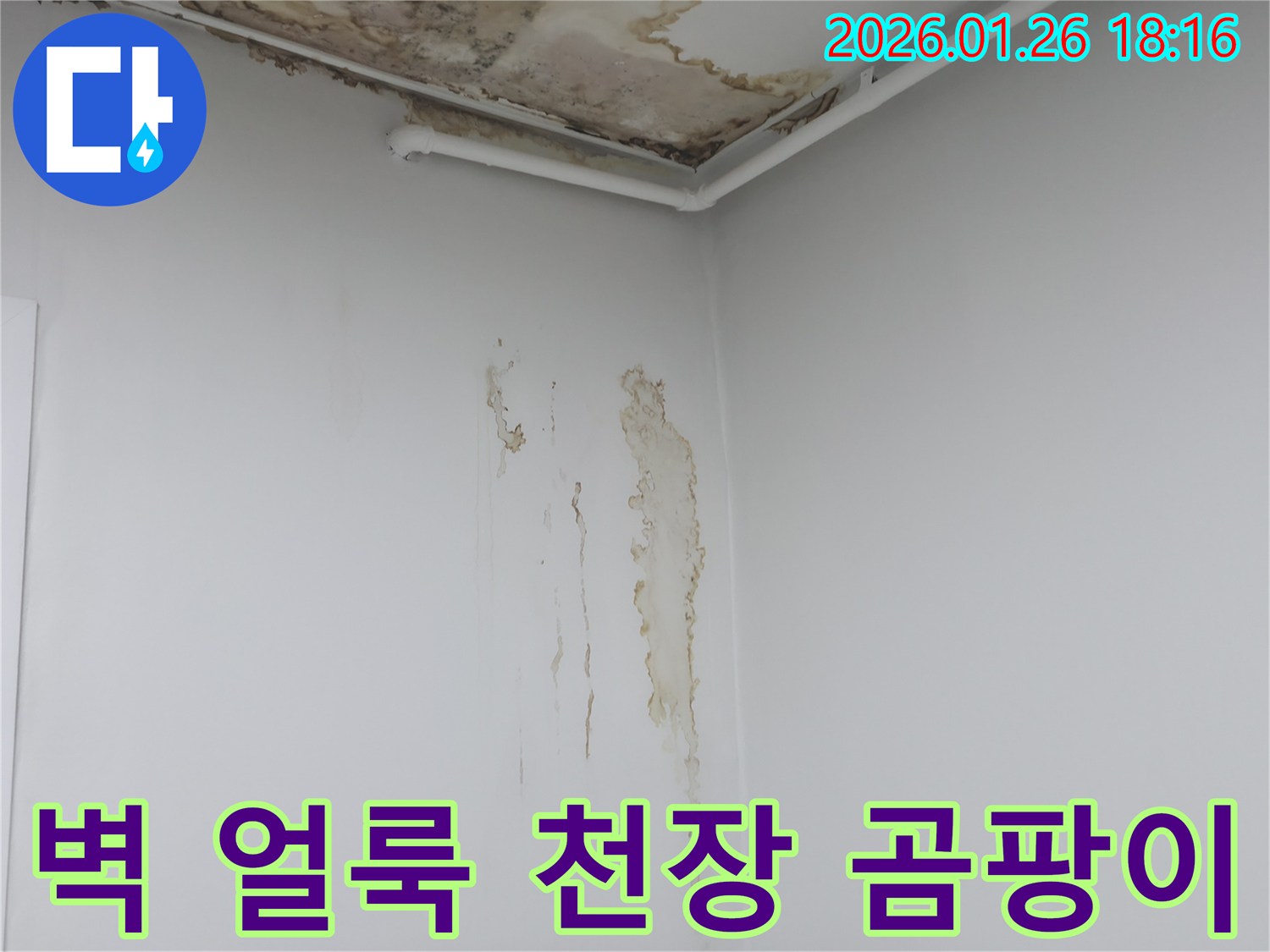 노원구 중계동 주택의 벽면 얼룩과-천장 곰팡이가 동시에 나타난 누수 현장-종합적인 진단과 해결이 필요합니다