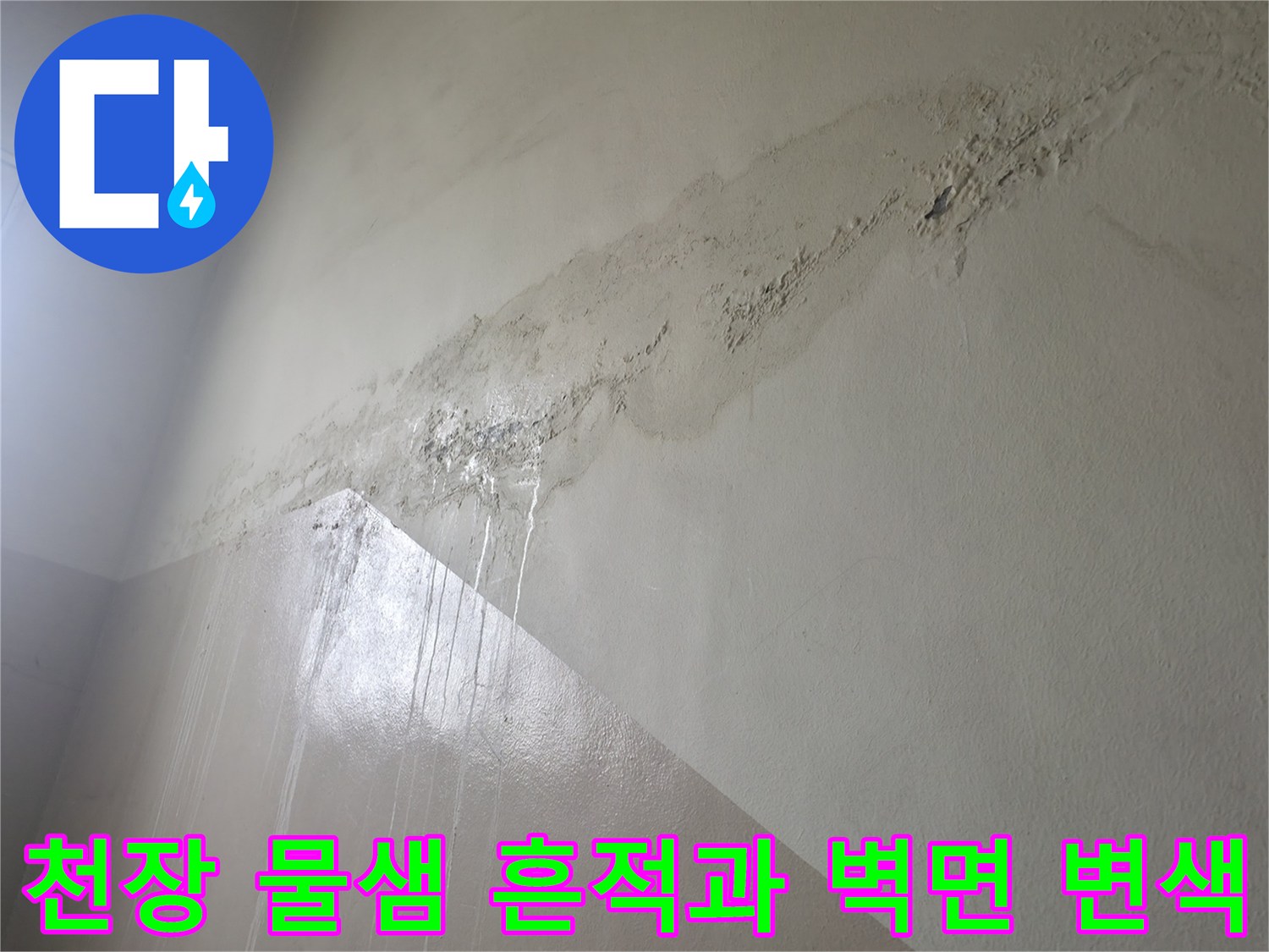 노원구-중계동-현장의-천장-벽지-변색-및-물샘-흔적-사진