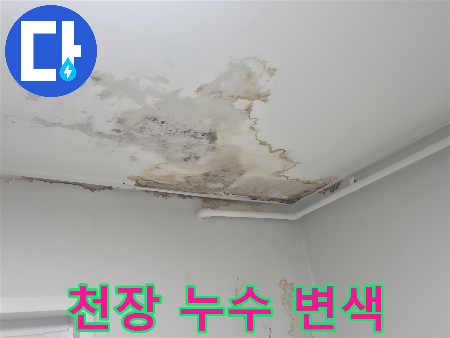 중계동 현장 천장의 심각한 누수 흔적 및 곰팡이 발생 상태