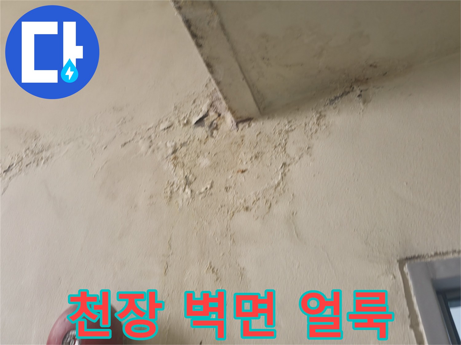 천장과 벽이 만나는 지점의 변색된 흔적