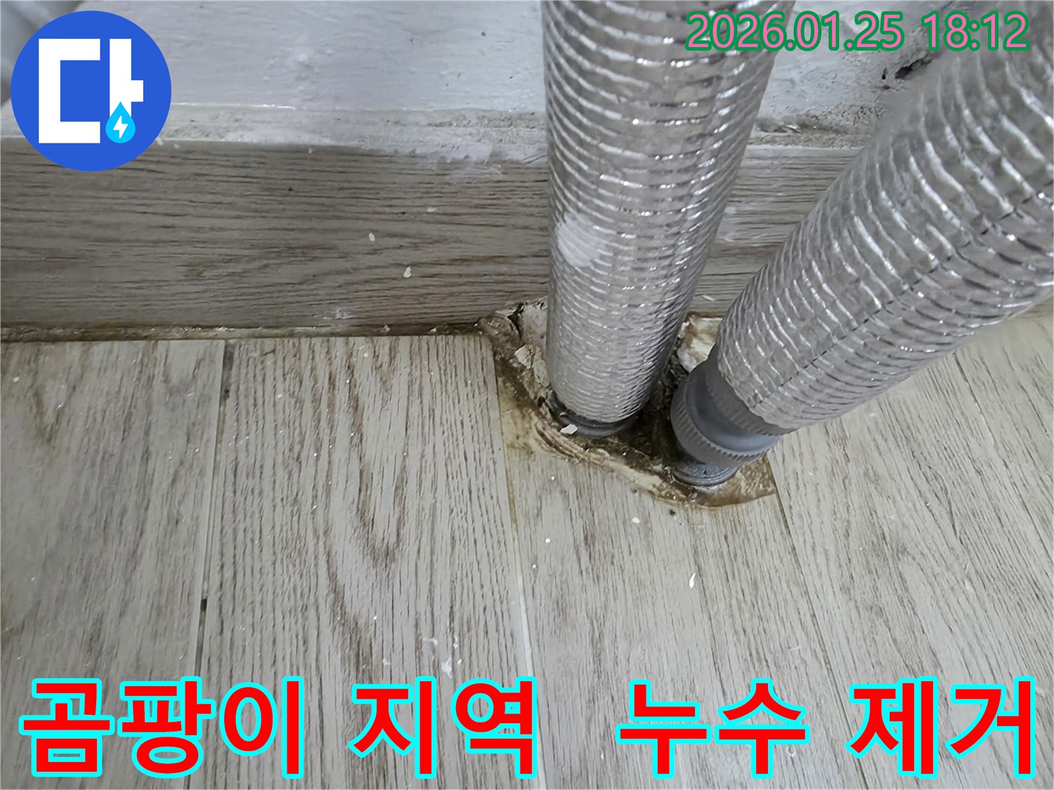 자양동에서 발견된 곰팡이 발생 지역-누수 원인 제거와 함께 쾌적한 실내 환경을 조성합니다.