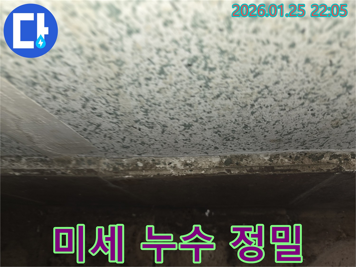 용인 모현읍 천장 곰팡이-미세 누수도 놓치지 않는 정밀 탐지
