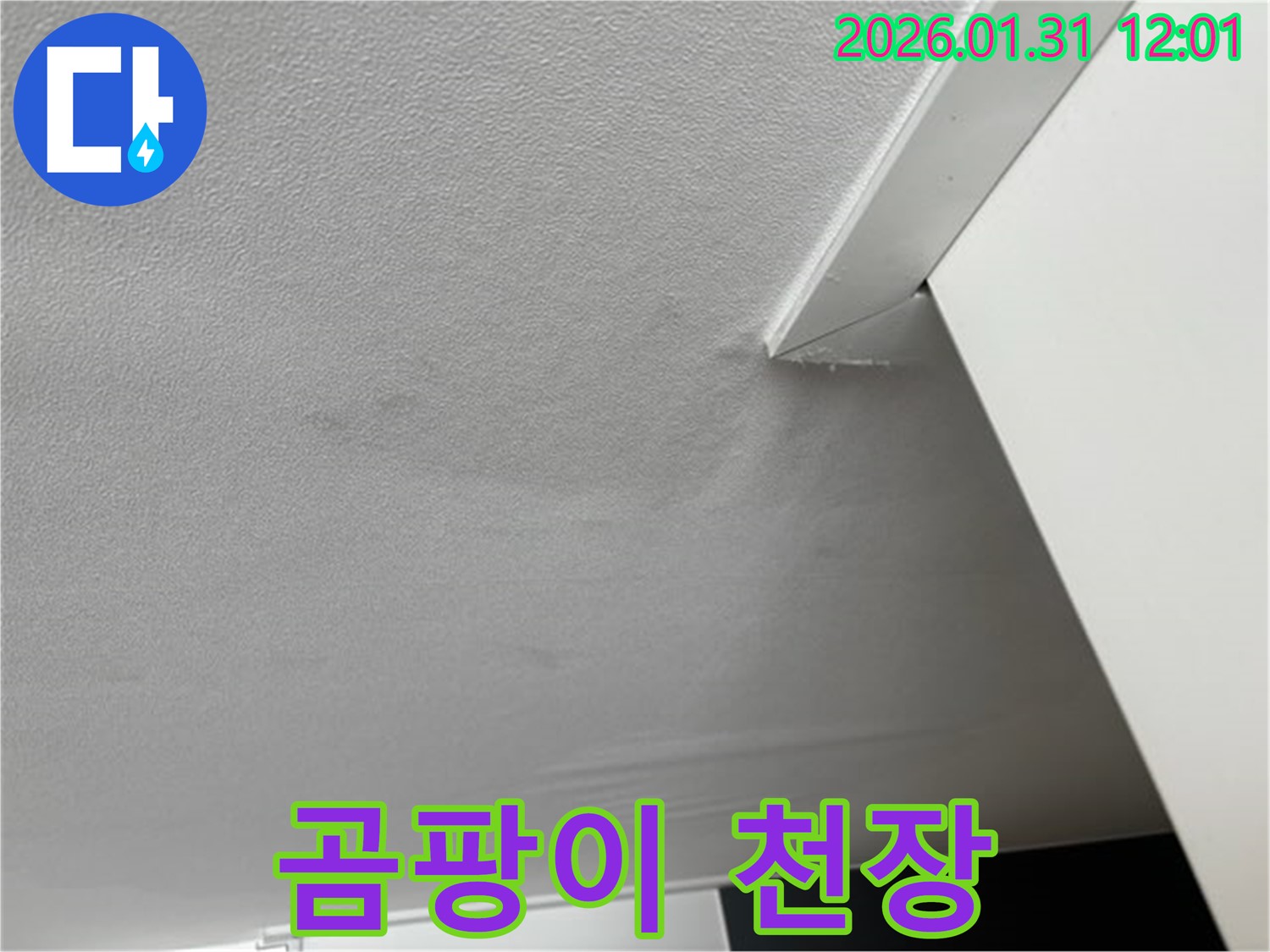 곰팡이 천장 - 누수로 인해 천장에 곰팡이가 핀 모습입니다. 누수를 의심해야 합니다.