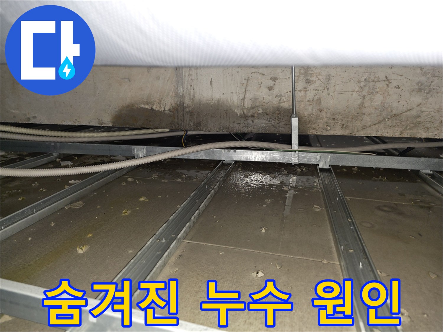 양천구 목동 천장 속 누수 - 숨겨진 원인 찾기 - 첨단 장비 활용