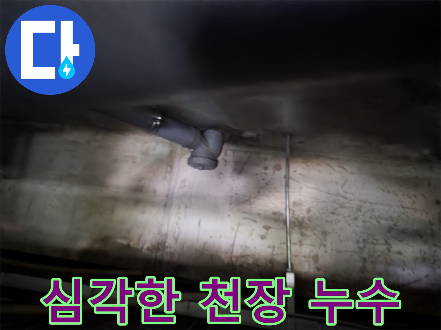 양천구 아파트 천장 누수 - 심각한 누수 상황으로 인해 천장에 물이 고여 있는 모습