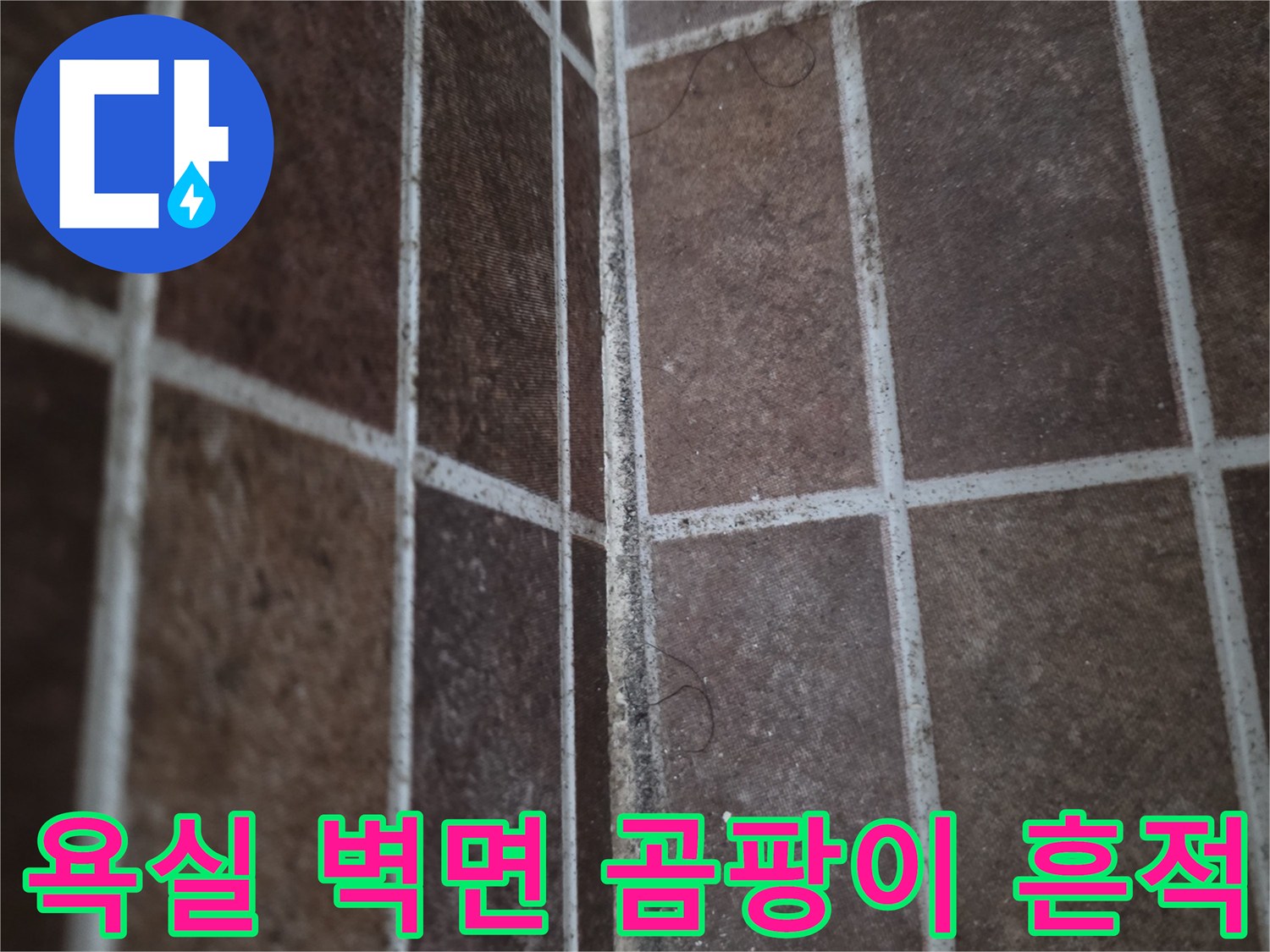 물샘 현상으로 인해 오염된 화장실 타일 줄눈 부위