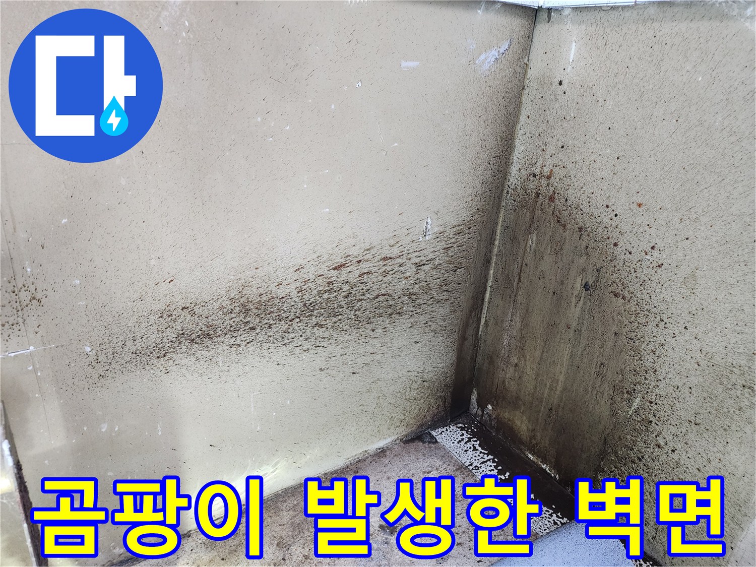 보일러실 내부 벽면에 나타난 누수 흔적과 곰팡이 현상