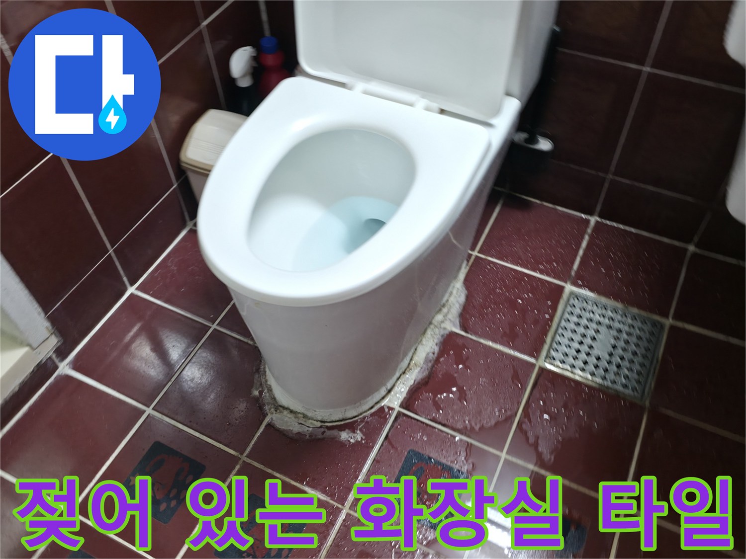양주 백석읍-변기 아래와 배수구 주변에 물기가 고인 타일 바닥