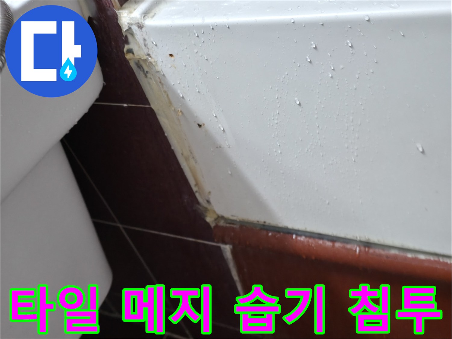양주 백석읍-욕실 타일 사이로 스며든 습기 흔적