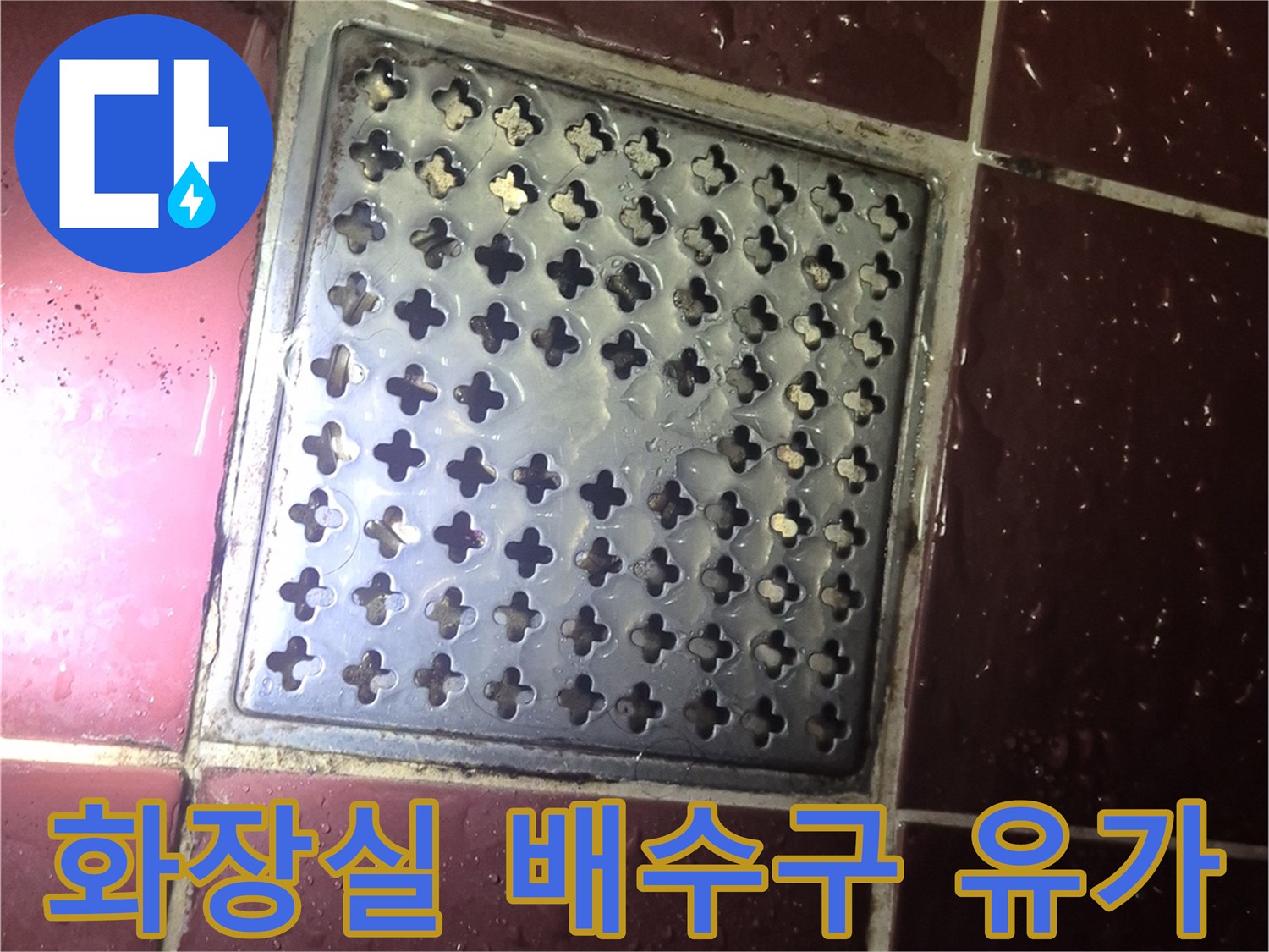 양주 백석읍 현장의 화장실 바닥 배수구 유가 상태