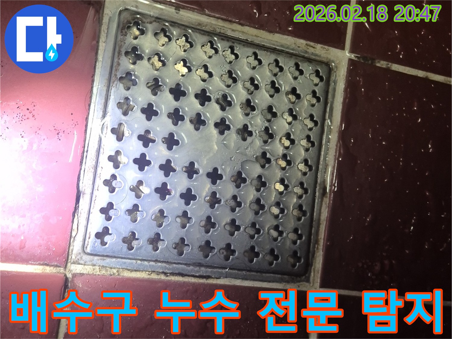 양주 백석읍 화장실 배수구-주변 물고임 현장을-전문 장비로 탐지하는 모습