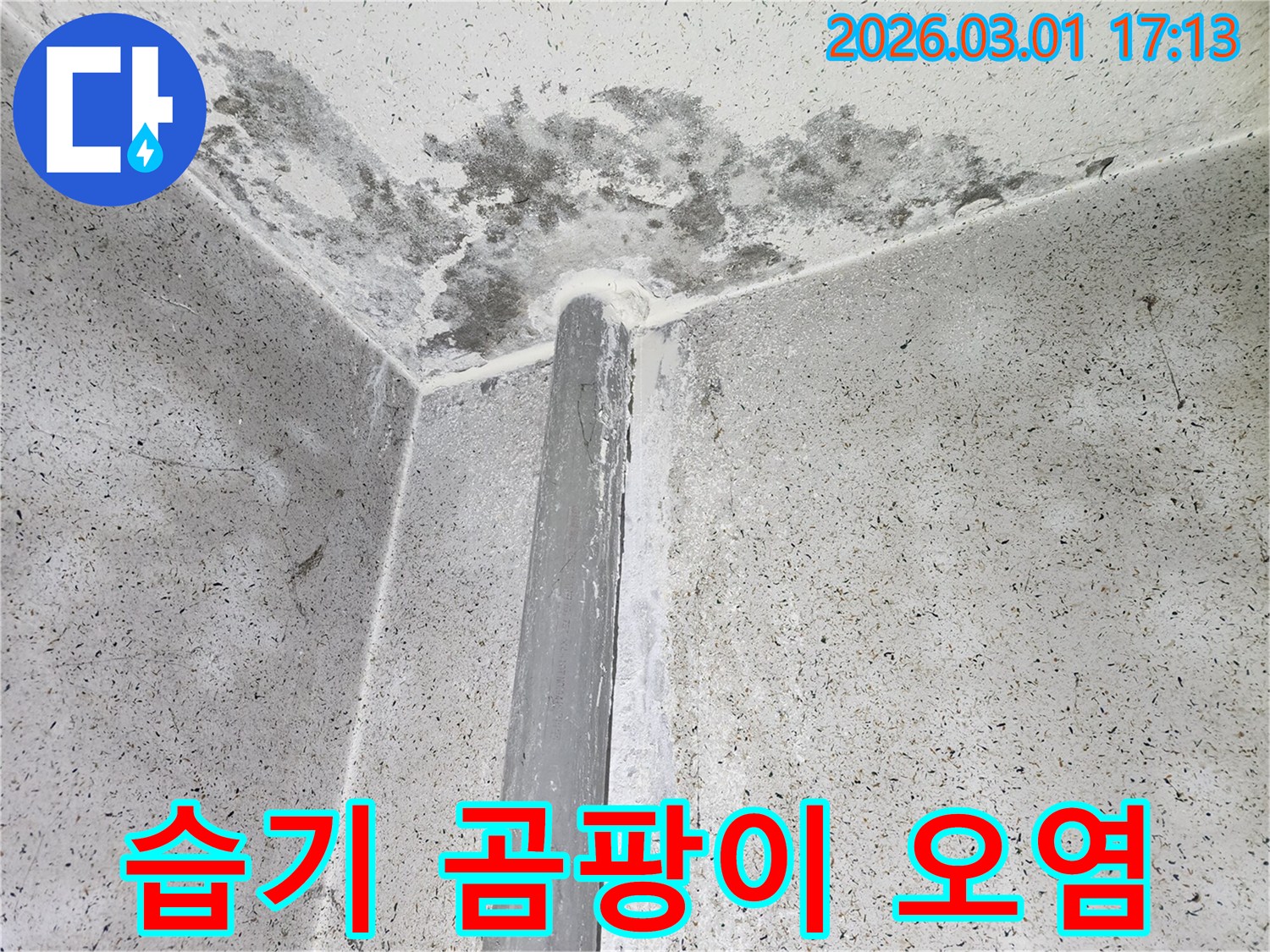 콘크리트 벽면과 천장-습기와 곰팡이로 오염된 심각한 누수 현장
