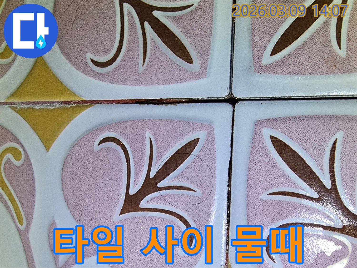 욕실 타일 사이에 낀 오래된 물때-지속적인 습기와 누수로 인한 오염 가능성