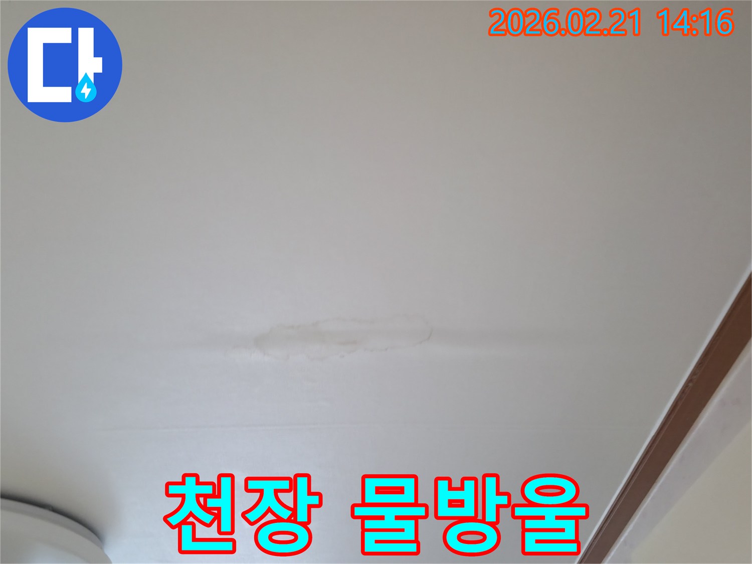이-사진은-천장에-발생한-물-얼룩을-선명하게-보여주며-누수-피해의-초기-징후를-나타냅니다.