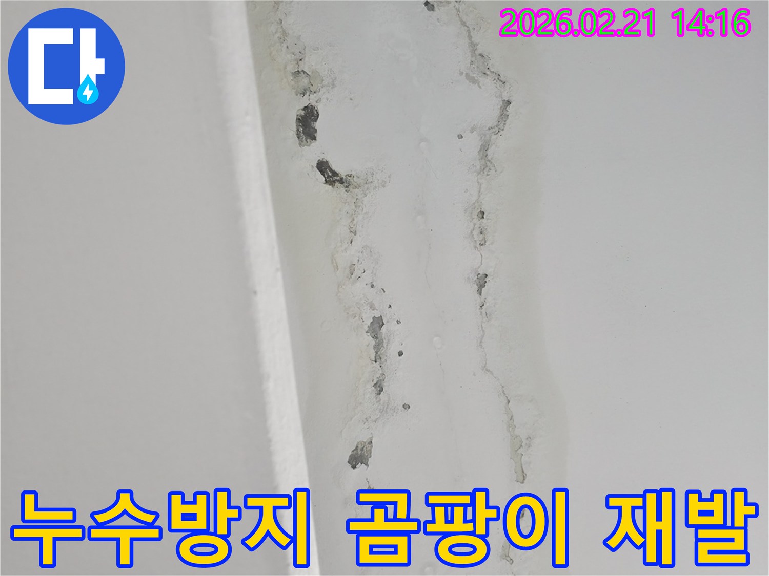 천장-누수로-인해-벽면에-발생한-심각한-곰팡이와-물자국을-보여주는-사진