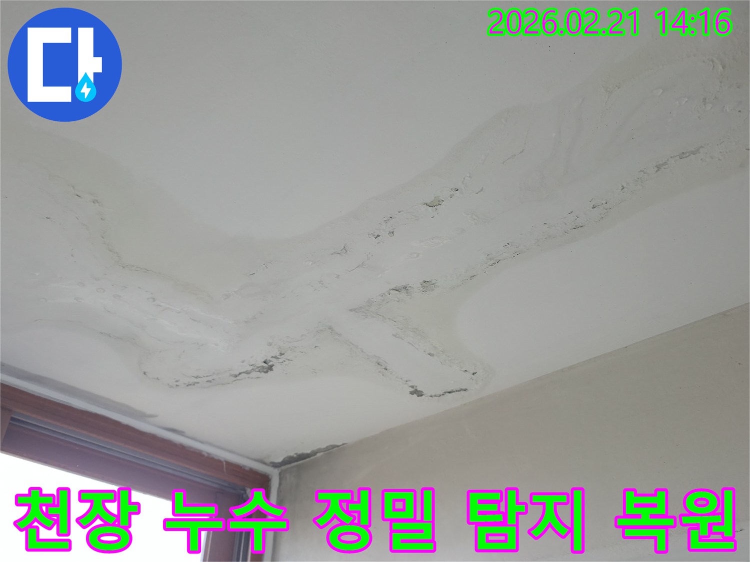 천장에 넓게 퍼진 물얼룩과 마감재 손상-정밀 누수 탐지 후 완벽한 복원이 필요한 현장-전문 장비로 원인을 찾아 해결하는 누수 전문가