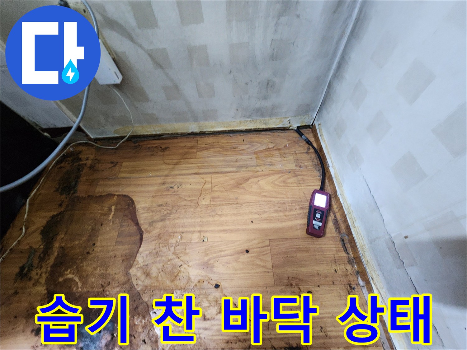 장곡동 현장-물에 젖어 변색된 강화마루와 탐지 장비