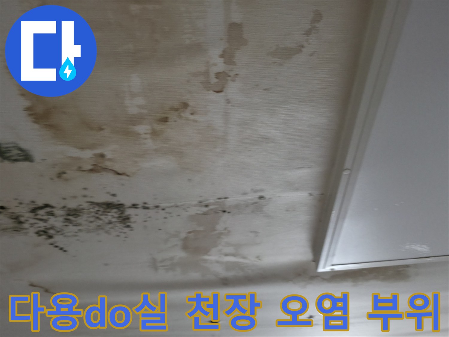 누수 피해를 입은-다용도실 천장의 곰팡이 흔적