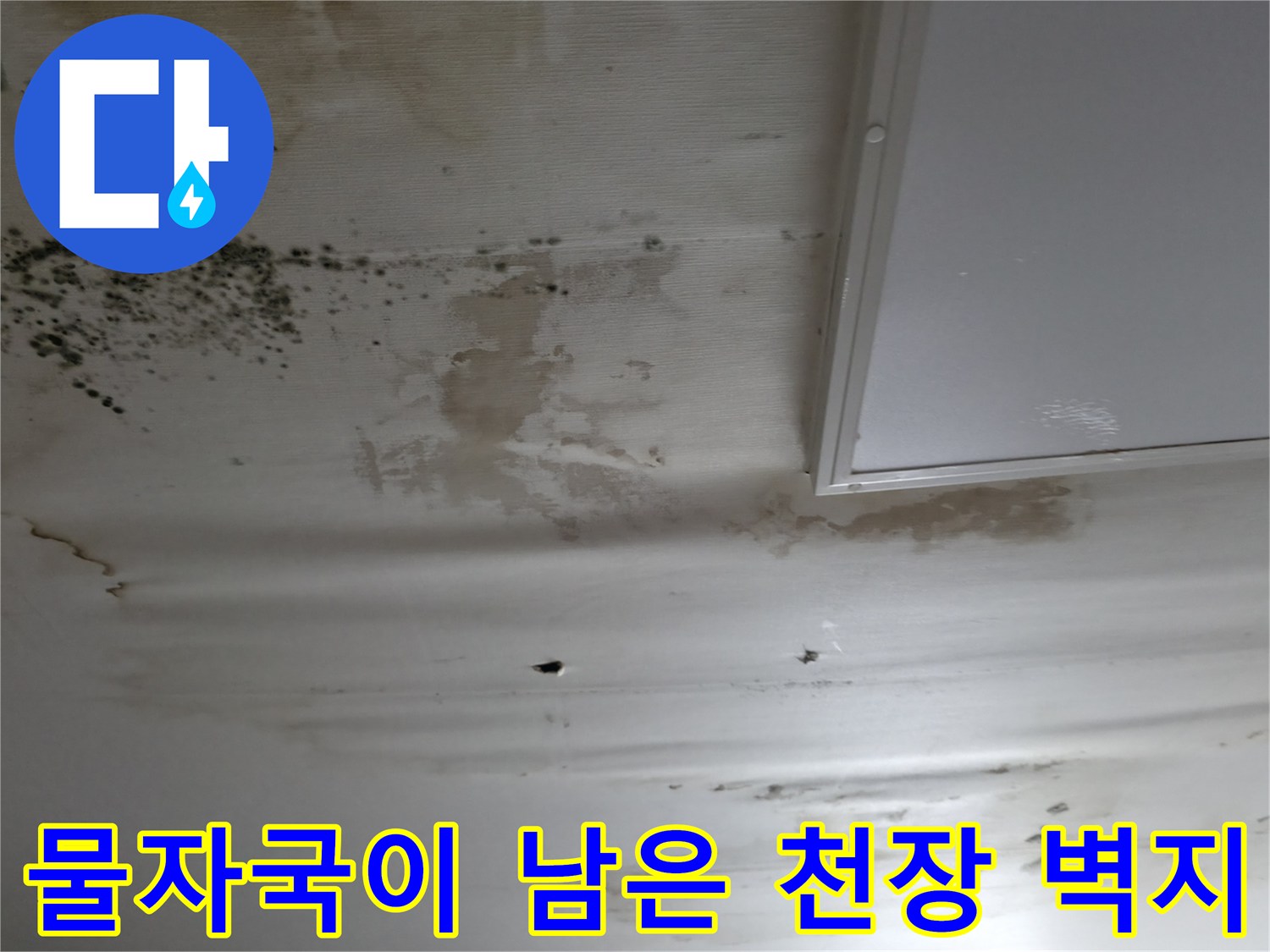 습기로 인해 변색된 천장 도배지와 곰<0xAE>팡이 흔적