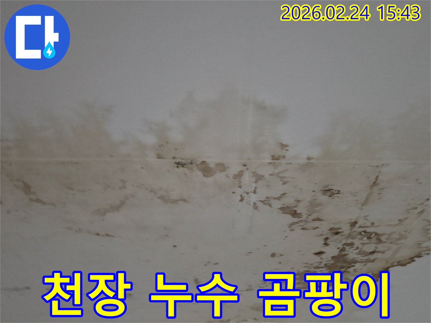천장 누수로 인한 심각한 물자국과 곰팡이-오염된 천장 표면