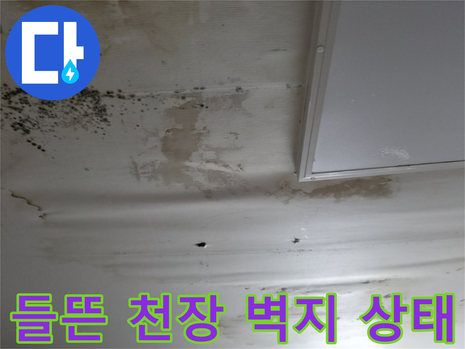 천장-벽지가-물기에-젖어-부풀어오른-누수-피해-현장