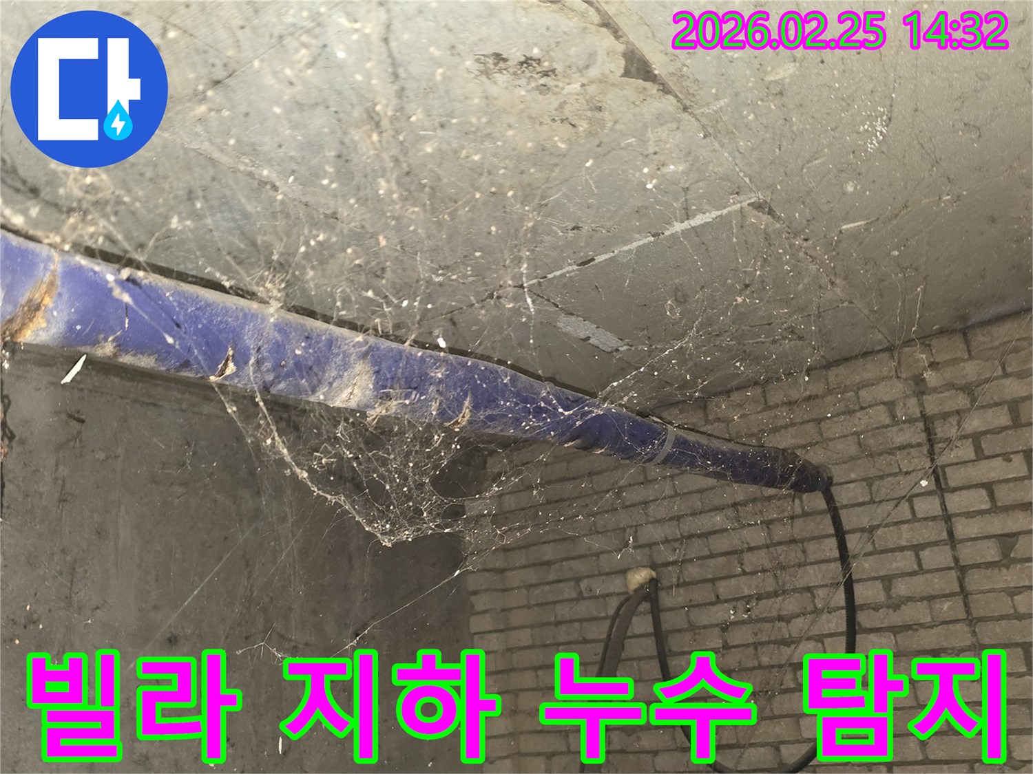 서울 강동구 진황도로 인근 빌라-지하 천장에 거미줄이 가득한-누수 원인 탐지 전-현장 상황을 담은 사진입니다.
