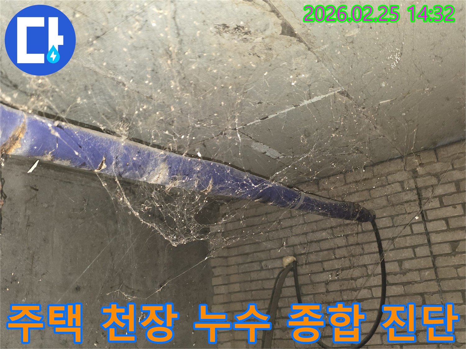 서울 강동구 진황도로 인근 주택-지하 천장에 거미줄이 가득한-누수 종합 진단 전-현장 상황을 담은 사진입니다.