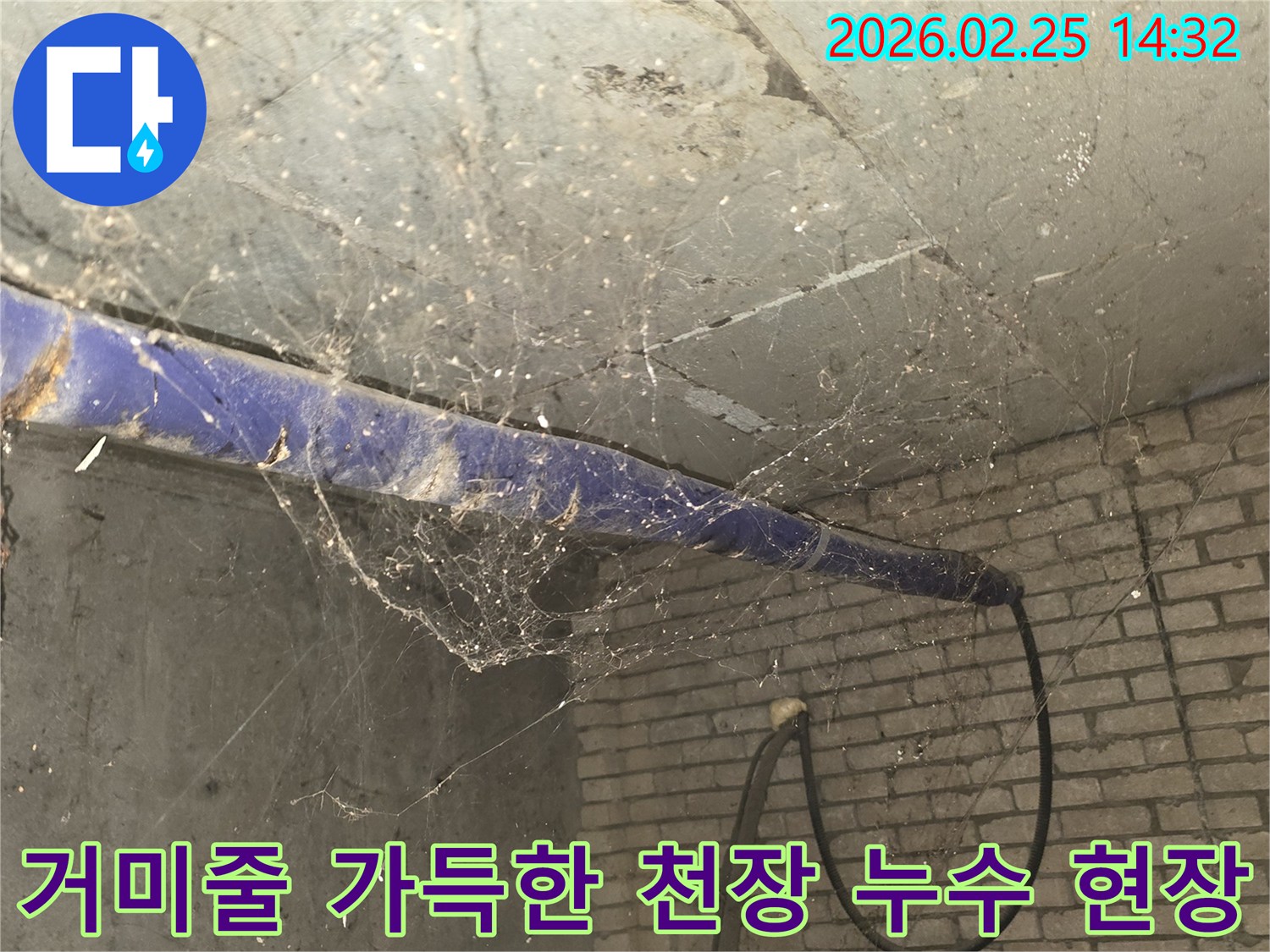 오래된 건물 지하-천장에 거미줄이 가득한-누수 탐지 전-현장 상황을 보여주는 이미지입니다.