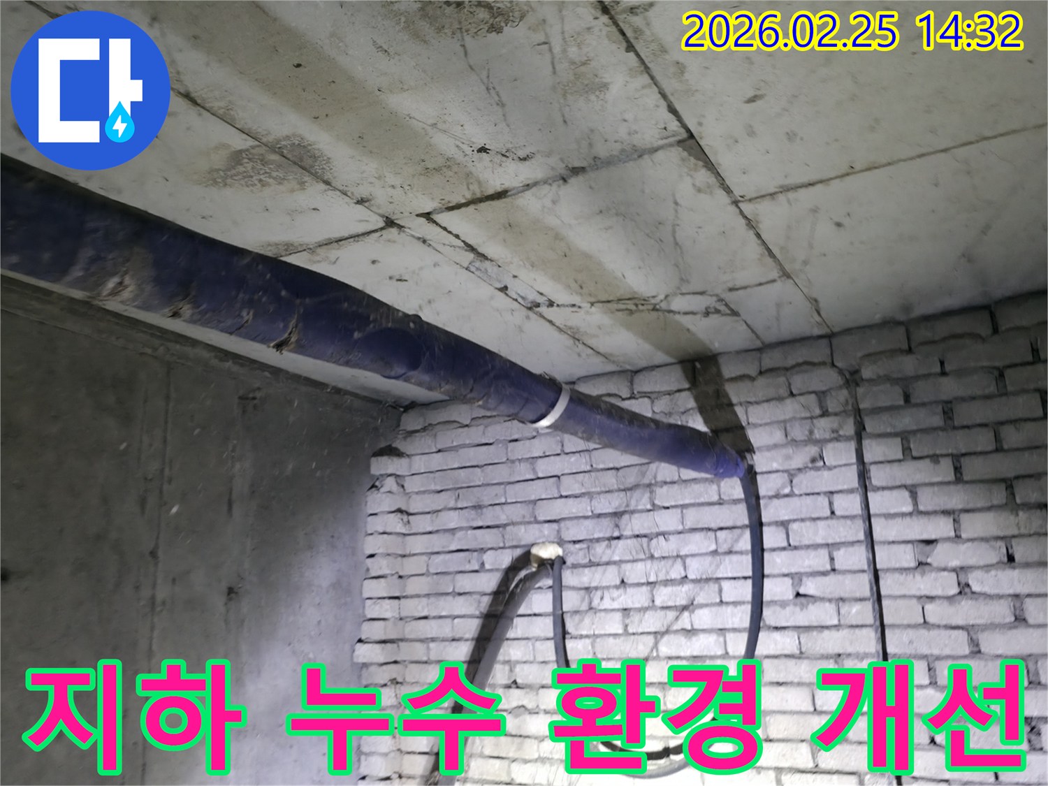 진황도로 211 인근-지하 누수로 인한-불쾌한 환경을-전문가가 개선하기 위해-현장을 점검하는 모습