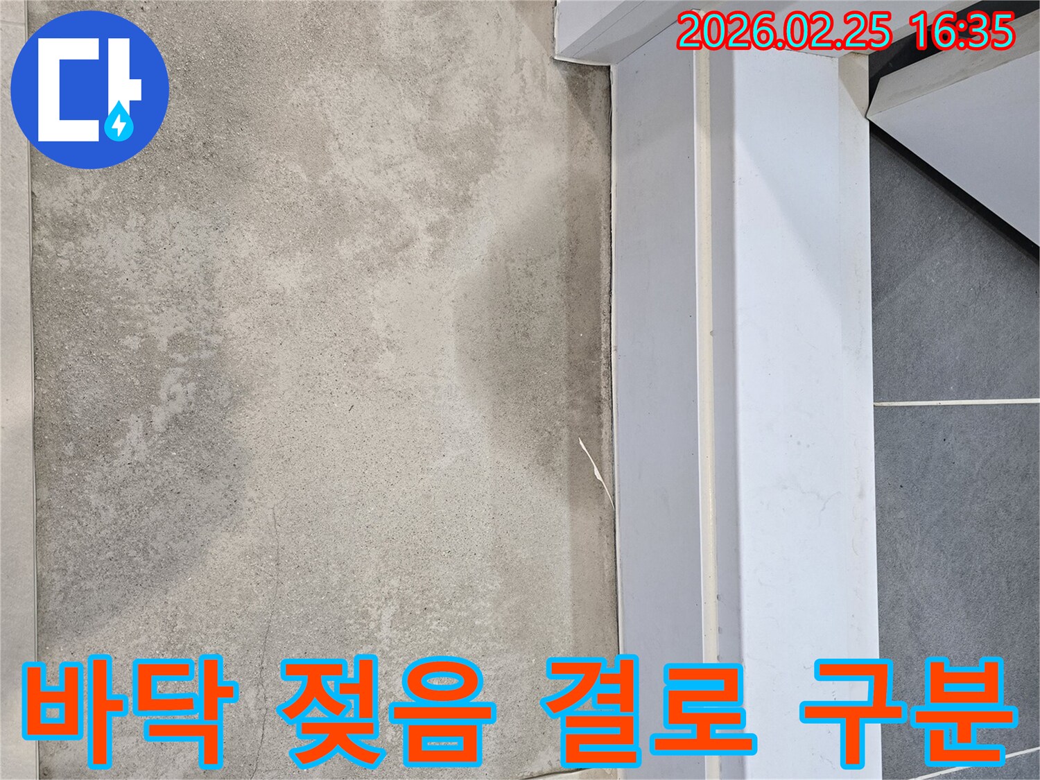 누수-전문가가-바닥에-발생한-젖은-흔적을-통해-누수와-결로-현상을-정확하게-구분하여-진단하는-모습
