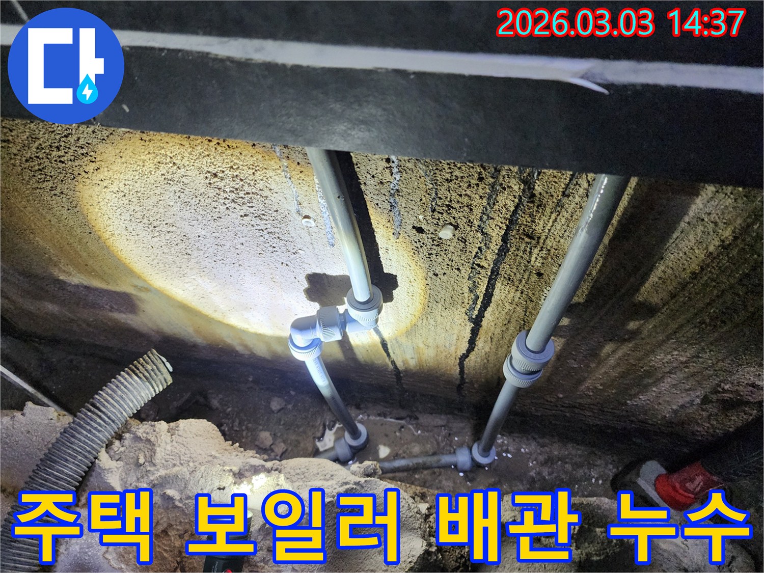 습기와 곰팡이로 오염된-누수 현장을-조사하는 전문가의 모습입니다.