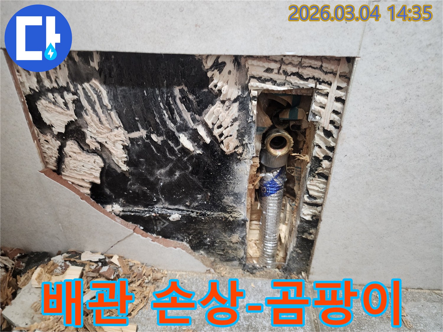 배관-손상으로-인한-누수로-벽면에-곰팡이가-발생한-현장을-확인하기-위해-벽을-개방한-후-촬영된-사진