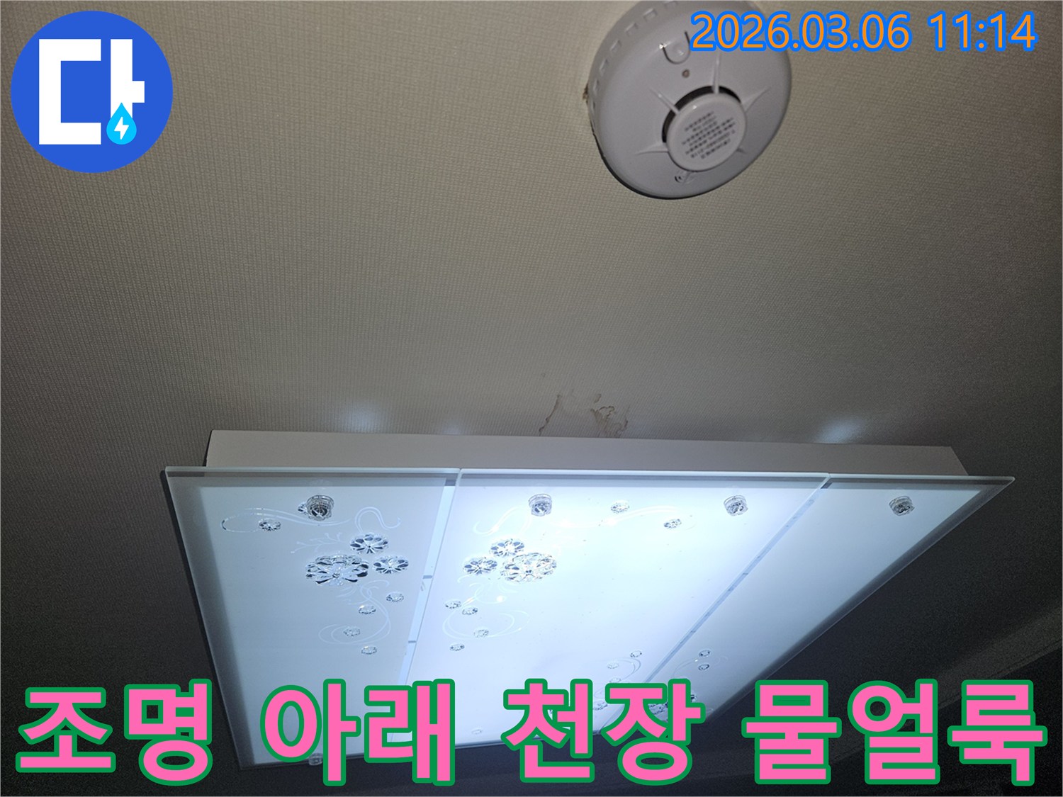 천장 조명 아래 벽지에 생긴 물얼룩 흔적을-전문가가 세심하게 확인하며 누수 상황을 분석하는 장면