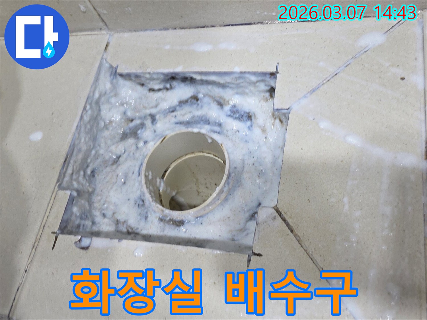 배관 내부의 이물질로 인한-배수구 역류 현장의 심각성을 나타냅니다.