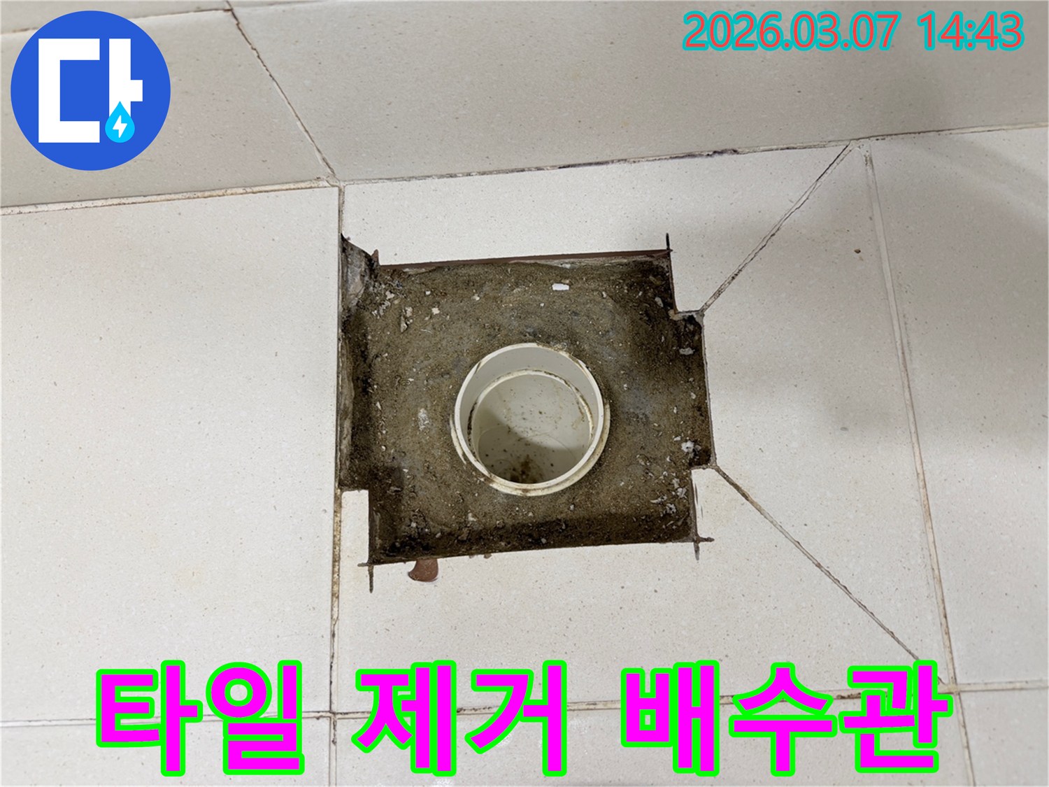 철원 지역의-누수 현장에서-바닥 타일을 제거한 후-배수관의 상태를-면밀히 검토하는 모습입니다