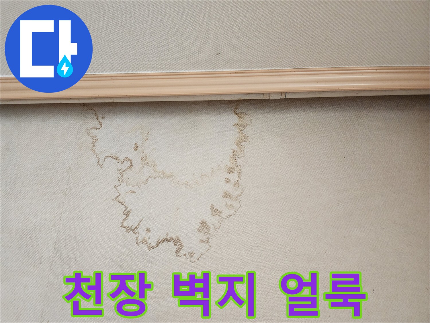 종로구 거실 천장 벽지에 발생한 갈색 물자국 현상