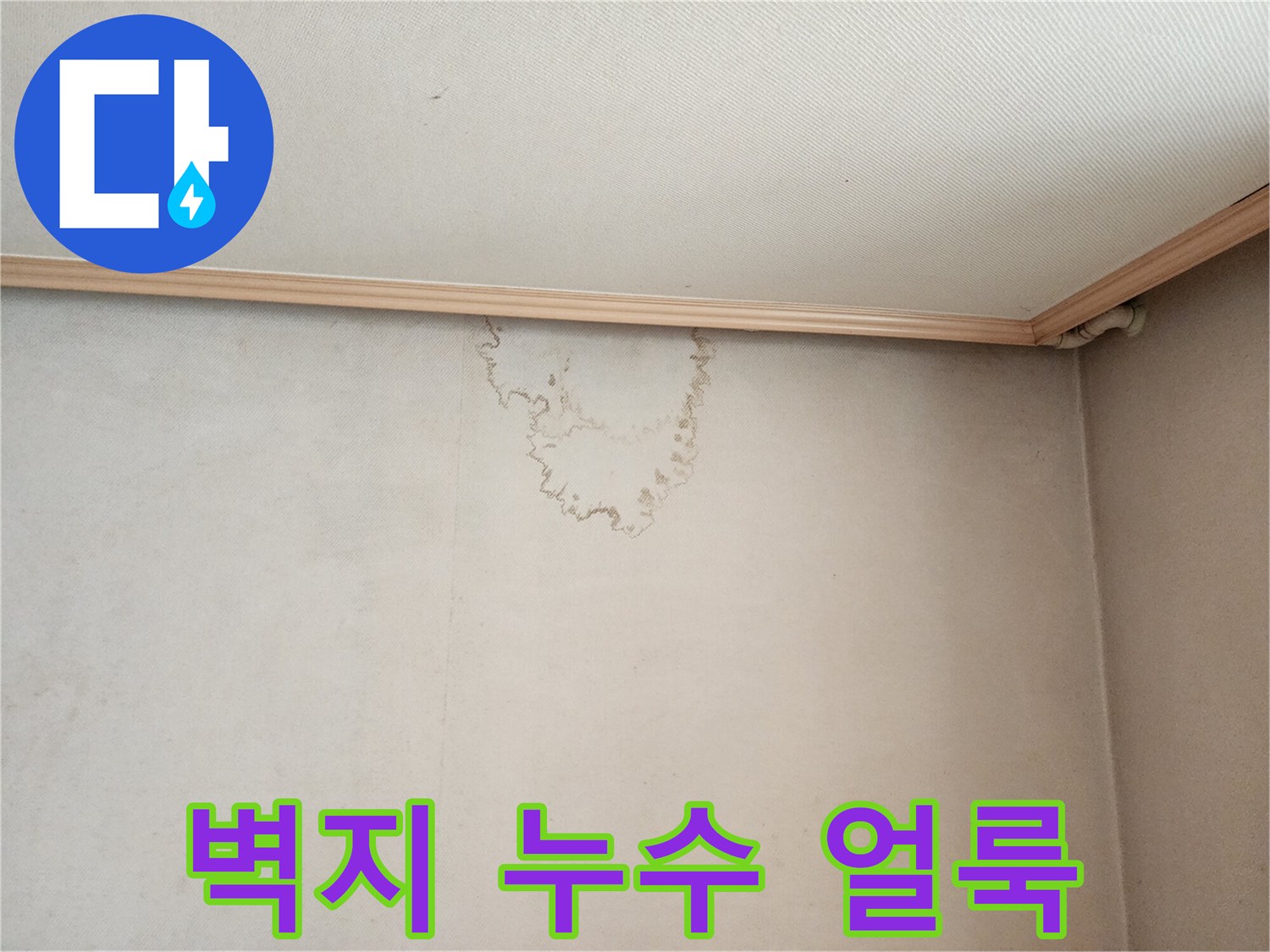 천장 몰딩 부근의 물샘 흔적 사진
