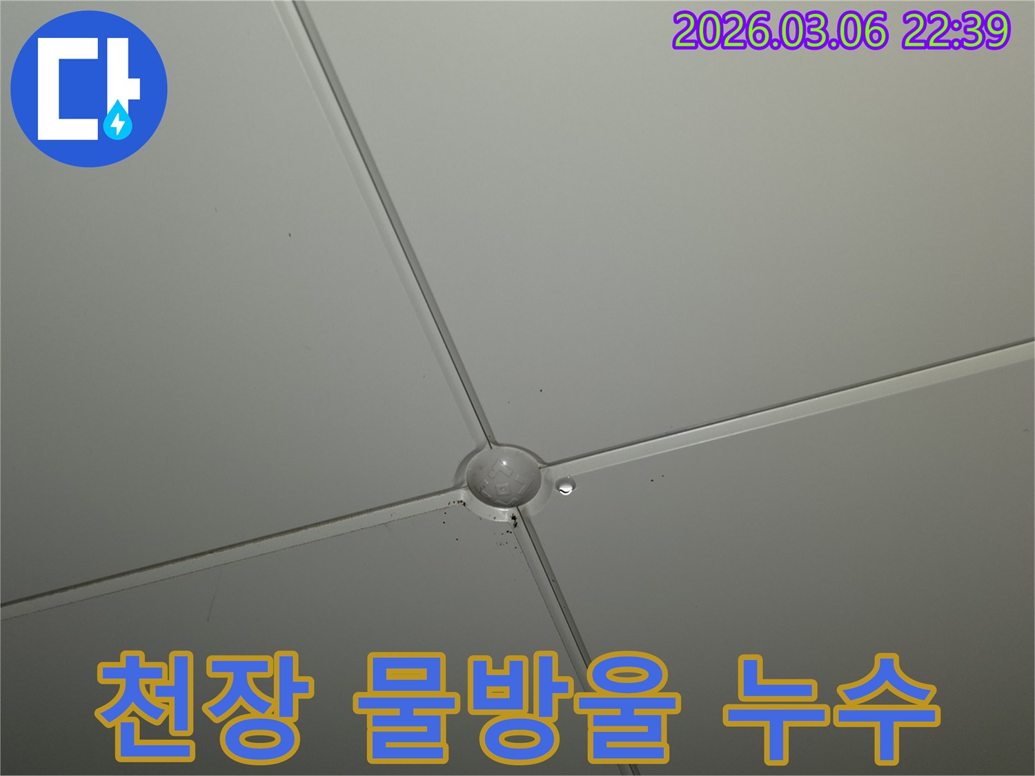 천장 마감재 교차점에서-물방울이 형성되어-떨어지기 직전의-누수 발생 현장