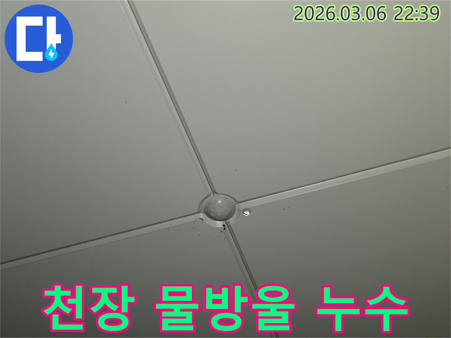 천장 마감재 이음새에서-물방울이 맺혀 떨어지는-누수 초기 현장 모습