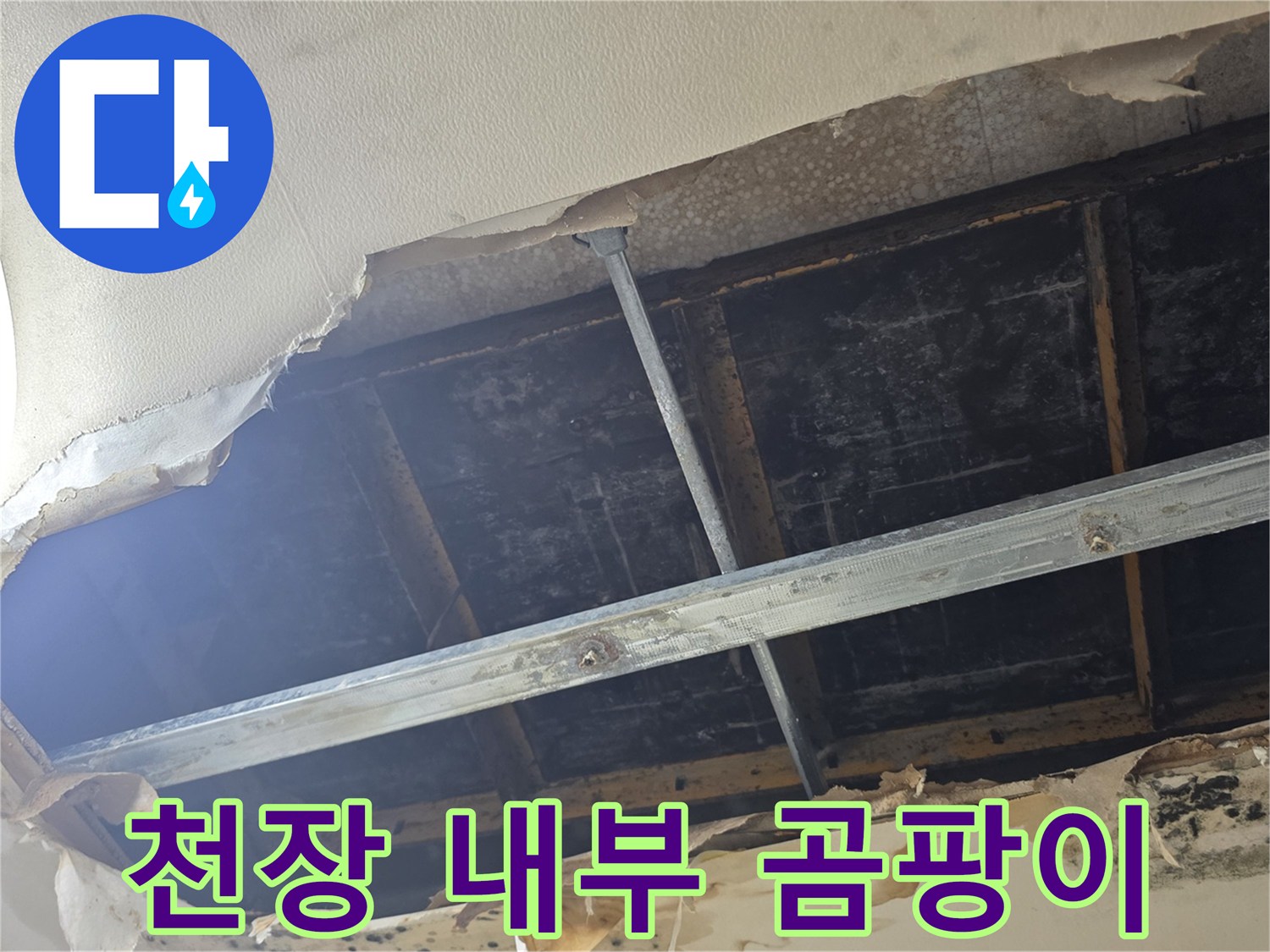 누수-피해로-인한-천장-내부-오염-상태