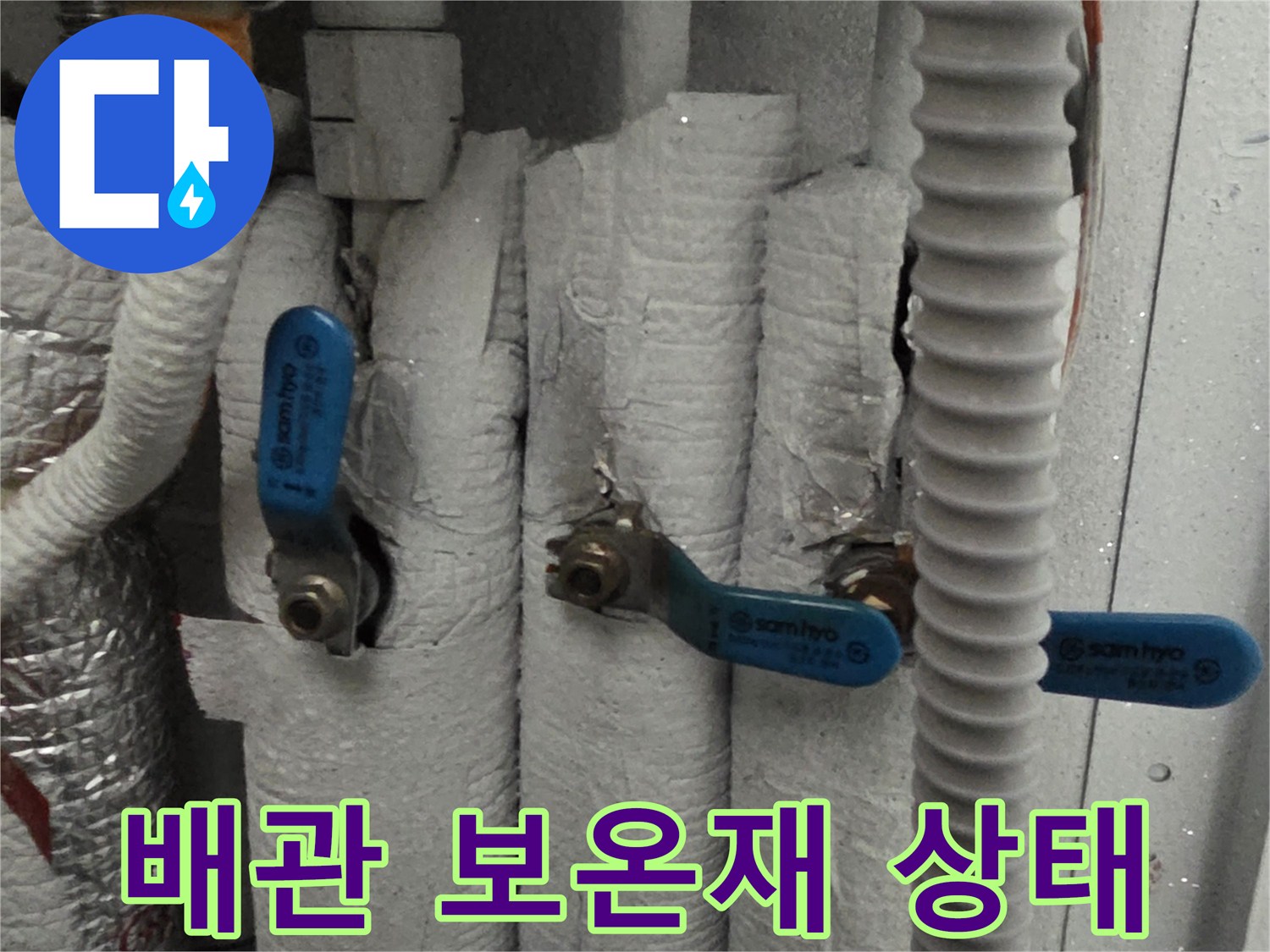 보온재-로-감싸진-다수의-급수-및-온수-배관
