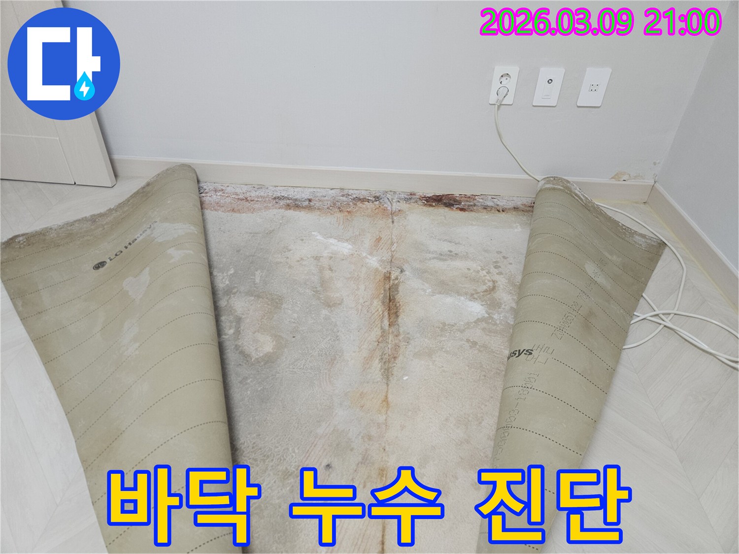 누수 엔지니어가-정밀 탐지를 위해-바닥재를 개방한-물샘 발생 지점입니다.