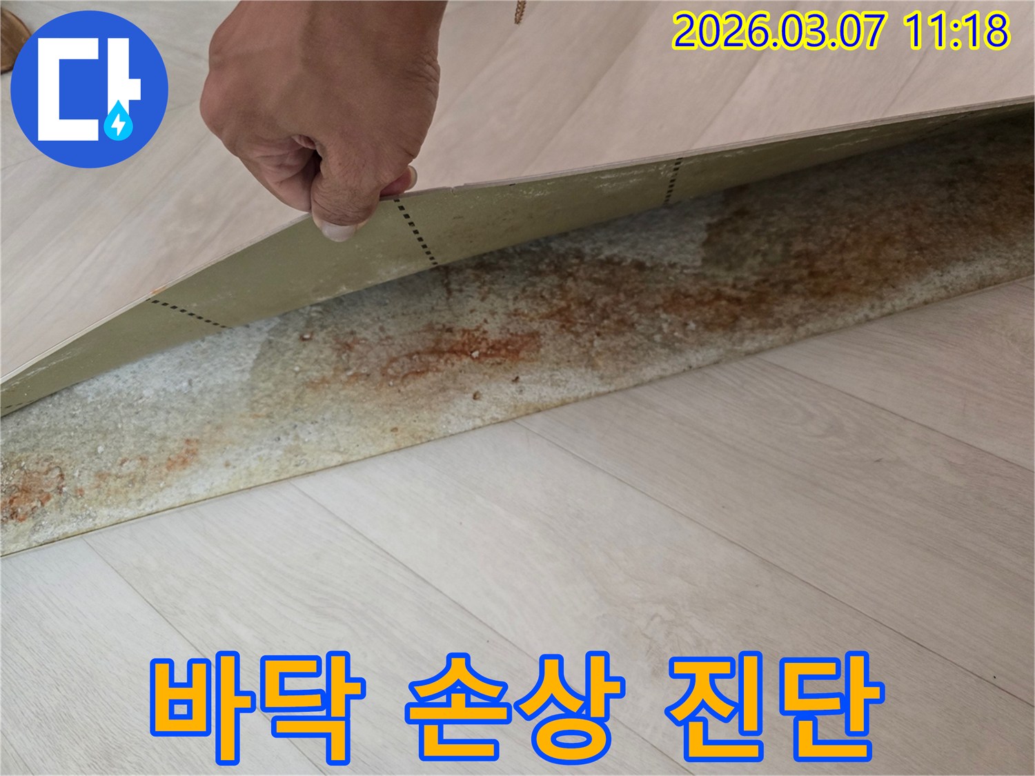 누수-원인을-찾기-위해-장판을-들어-올려-바닥-손상-상태를-점검하는-과정