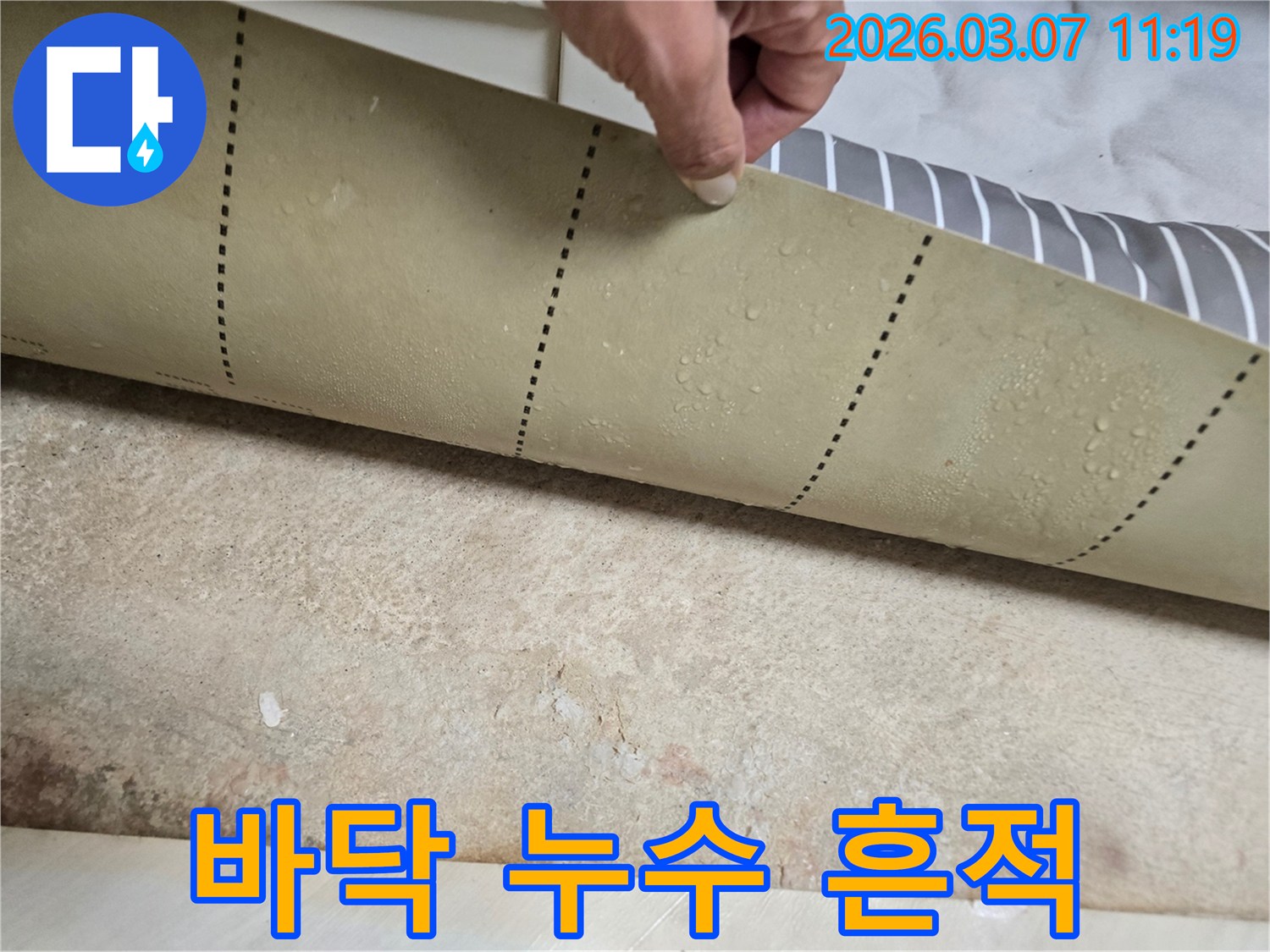 누수-전문가가-장판-아래-숨겨진-물기를-확인하는-장면