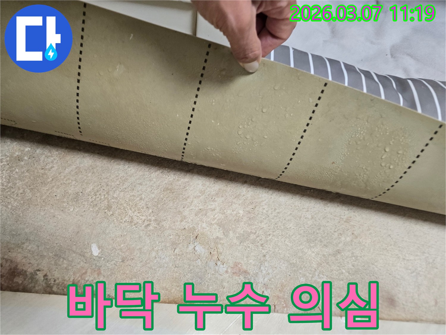 누수-진단을-위해-장판을-개방하여-물기를-확인하는-모습