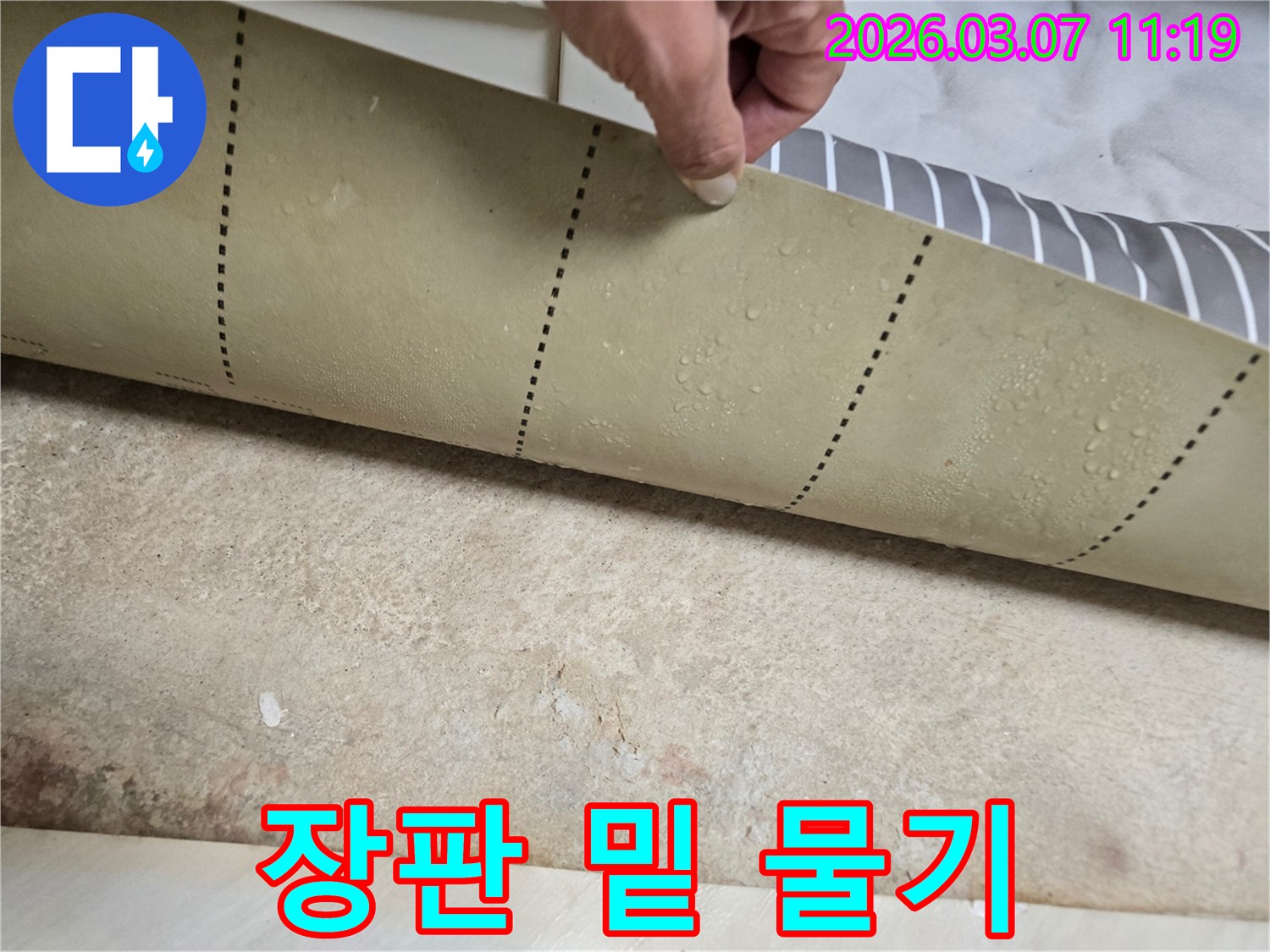 누수-탐지-중-장판을-들어-올려-바닥에-고인-물을-확인하는-모습
