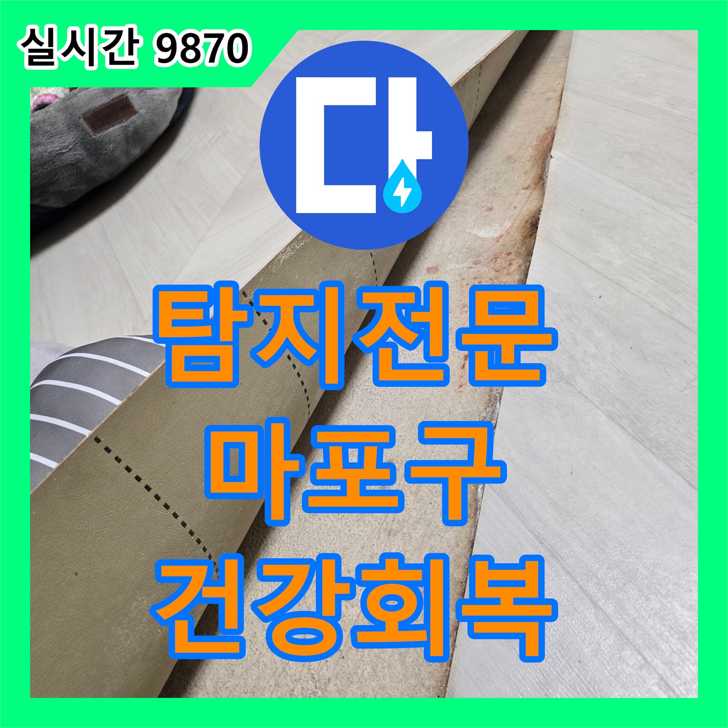 누수탐지전문, 마포구 빌라 벽면 곰팡이와 부식 누수, 최신 장비로 정확히 찾아 건강한 환경을 되찾는 마포구