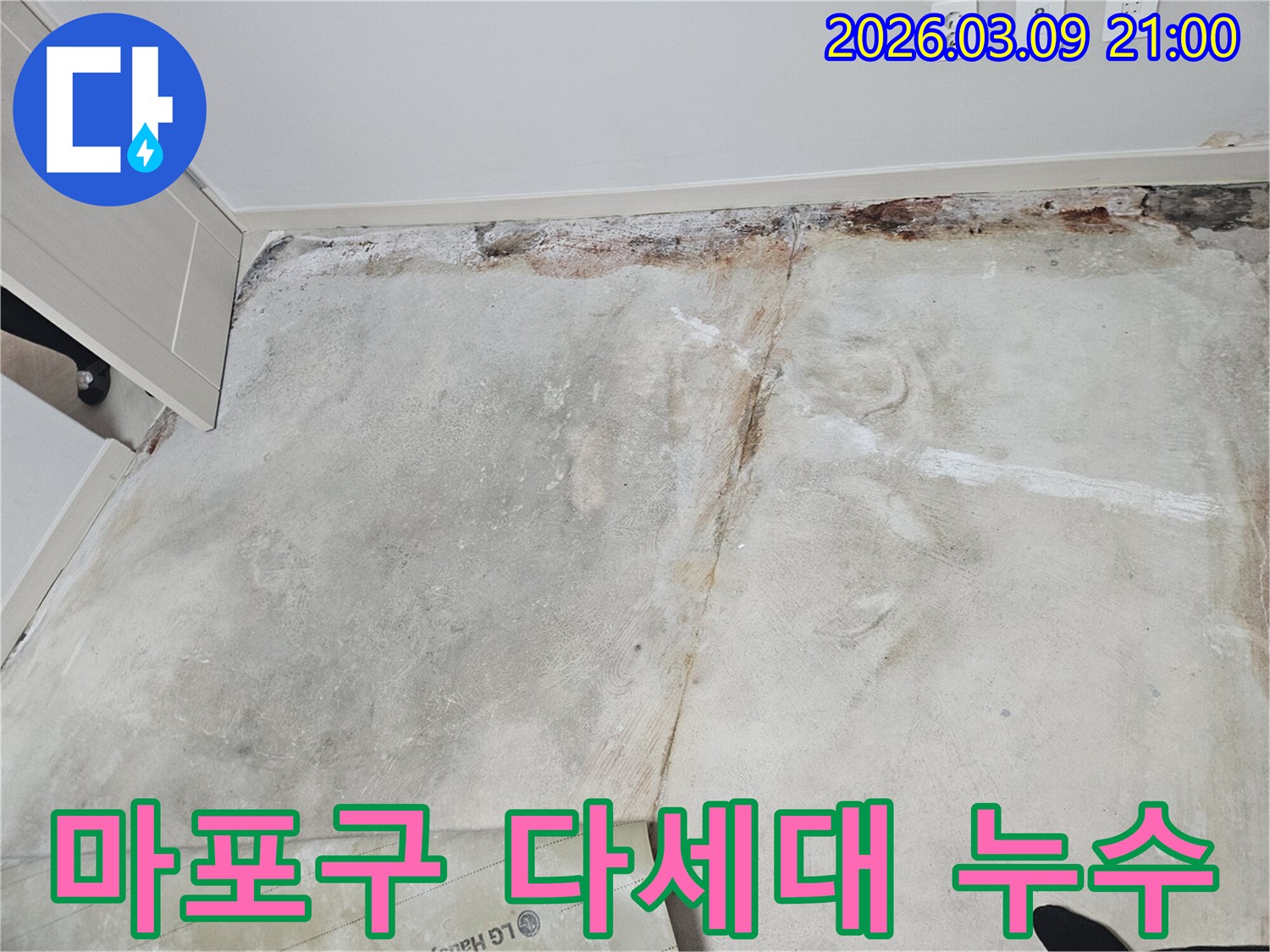 마포구-다세대주택-바닥-콘크리트에서-발견된-누수-물-자국을-엔지니어가-확인하는-장면