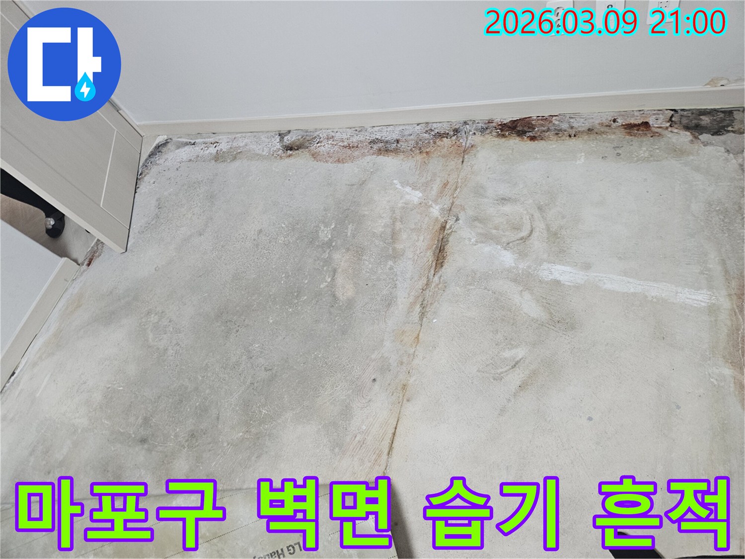 마포구-빌라-벽면-하단-콘크리트의-습기와-변색-흔적을-엔지니어가-정밀하게-조사하는-사진