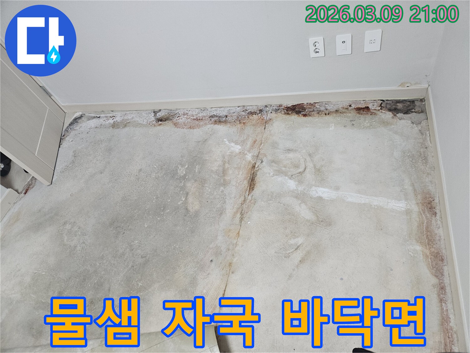 마포구 주택-물샘 자국으로-변색된 바닥면